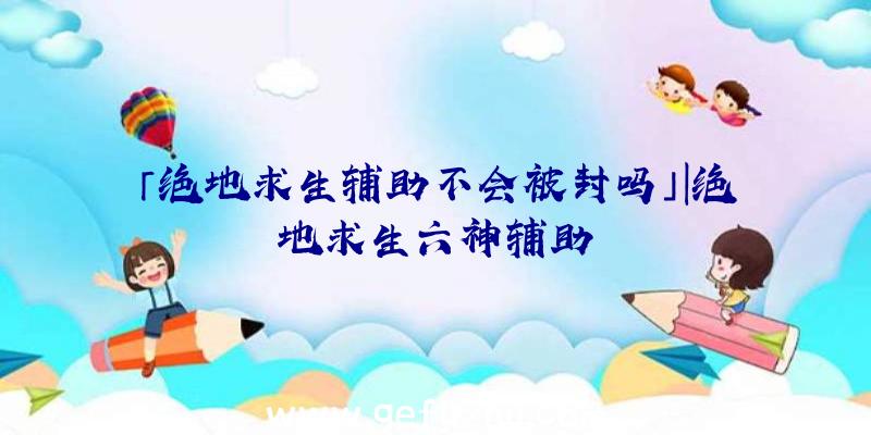 「绝地求生辅助不会被封吗」|绝地求生六神辅助